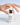 Vivant Skincare FF3 Hydra Intensive HA hydrating hyaluronic acid and peptide serum bottle
